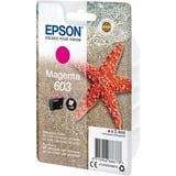 Epson Singlepack Magenta 603 Ink, Inchiostro Resa standard, Magenta, 2,4 ml, 1 pz