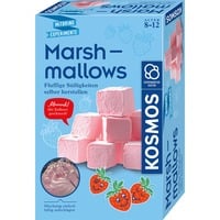 KOSMOS Marshmallow, Casella di esperimento 