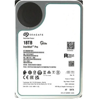 Seagate IronWolf Pro NAS 18 TB Ricondizionato, Hard-disk 