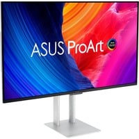 ASUS ProArt OLED PA32UCDM Monitor PC 80 cm (31.5") 3840 x 2160 Pixel 4K Ultra HD QD-OLED Argento, Monitor OLED argento, 80 cm (31.5"), 3840 x 2160 Pixel, 4K Ultra HD, QD-OLED, 0,1 ms, Argento