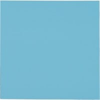Thermal Grizzly Minus Pad Pro - 100x100x1,0 mm, Pastiglie termiche 