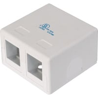Digitus Custodia punto di consolidamento, per 2 moduli Keystone, Housing bianco