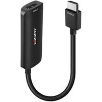 Lindy 38329 cavo e adattatore video 0,157 m HDMI tipo A (Standard) DisplayPort Nero, Convertitore Nero, 0,157 m, HDMI tipo A (Standard), DisplayPort, Maschio, Femmina, Dritto