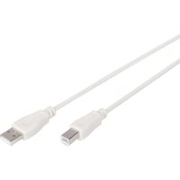 Digitus Cavo di collegamento USB 2.0 USB-A (spina) > USB-B (spina) beige