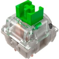 Razer Green Switch-Set, Interruttore a pulsante verde/trasparente