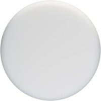 Bosch Spugna per lucidatura morbida, Ø 170mm, Rotella di lucidatura bianco