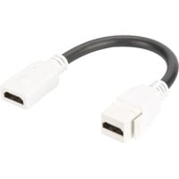 Digitus Modulo Keystone HDMI 2.0 con cavo di 12 cm, Modulo di Keystone bianco