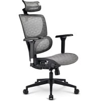 Sharkoon Sedia da ufficio OfficePal C40M grigio