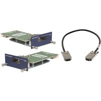 Netgear AX742 scheda di rete e adattatore 24000 Mbit/s, Modulo di estensione Cablato, 24000 Mbit/s
