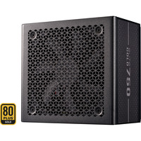 Cooler Master ELITE GOLD 750, Alimentatore PC Nero