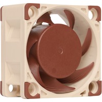 Noctua NF-A4X20 5V sistema di raffreddamento per computer Case per computer Ventilatore 4 cm Beige, Marrone, Ventola Ventilatore, 4 cm, 5000 Giri/min, 14,9 dB, 9,4 m³/h, Beige, Marrone